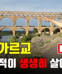 님 (축제와 투우의 도시)