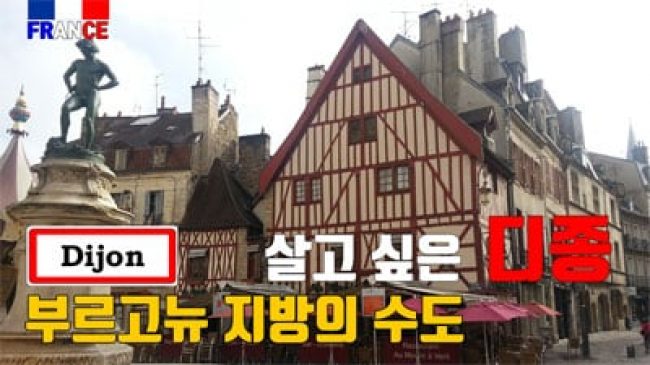 디종 (포도주와 머스타드)