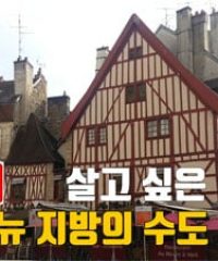 디종 (포도주와 머스타드)