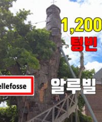 속이 텅빈 참나무 속의 교회