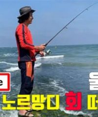 울가트 (낚시와 캠핑)