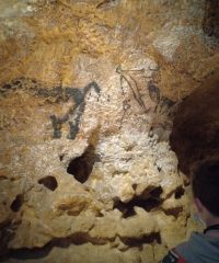 라스코 동굴 (구석기 벽화)